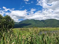 -腾冲北海湿地