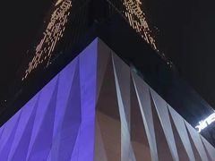 -WFC会仙楼观景台