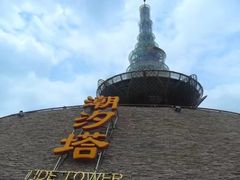 -日照海滨国家森林公园
