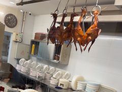 -大鸽饭(马王堆店)