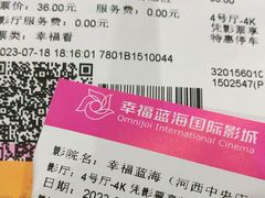 -幸福蓝海国际影城(河西店)