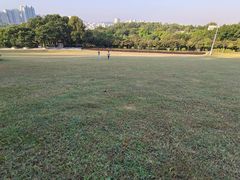 -紫马岭公园