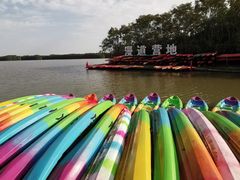 -上海海湾国家森林公园