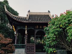 -武汉园博园(武汉自然博物馆)