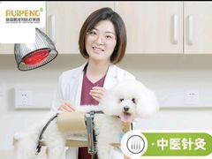 -美联众合爱康动物医院•复杂内科•肿瘤科•牙科•腔镜诊疗中心