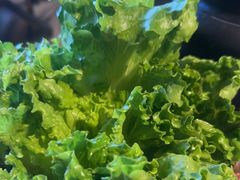 -大头椰·椰子鸡火锅(南宁万象城店)