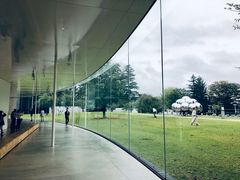 -金泽21世纪美术馆