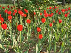 -长春公园(普阳街道)