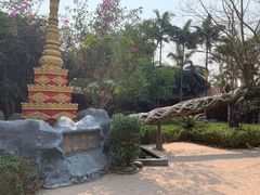 -瑞丽独树成林风景区