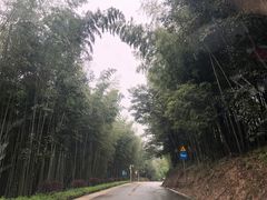 -广州市石门国家森林公园