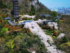-牛首山文化旅游区