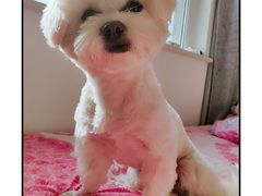 -熊小胖宠物生活馆(天华园店)