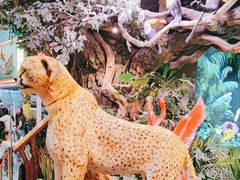 -正佳雨林生态植物园