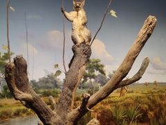 -陕西自然博物馆