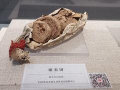 -巴音郭楞蒙古自治州博物馆
