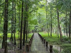 -桤木河湿地公园