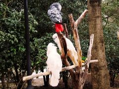 -杭州野生动物世界