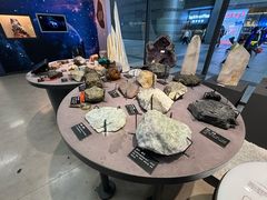 -浙江自然博物院(杭州馆)