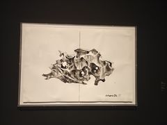 -江苏省美术馆(长江路新馆)