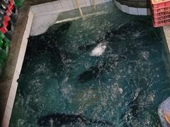 -旭龙鱼头王(航华店)