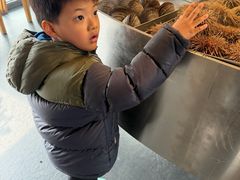 -KAOKAO烤烤·丹东海鲜烧烤(崔各庄店)