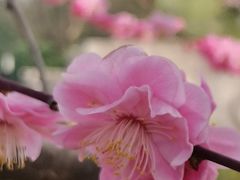 -鹦鹉寺公园