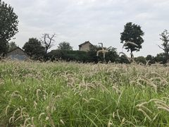 -汉长安城未央宫国家考古遗址公园