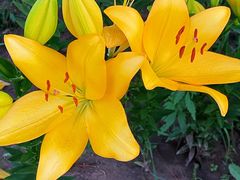 -长春公园(普阳街道)