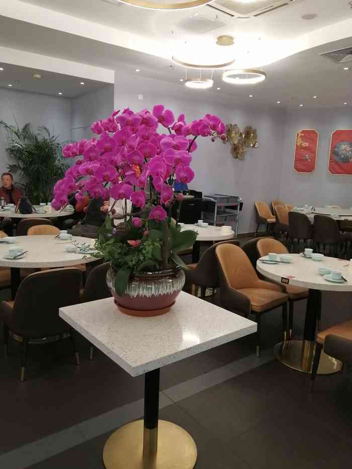 "-大众点评移动版