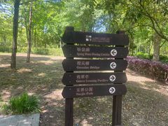 -宝界山林公园