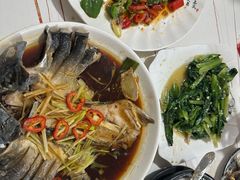 -煲来饱去冷水鱼