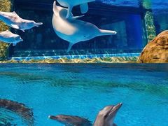 -珠海长隆海洋王国