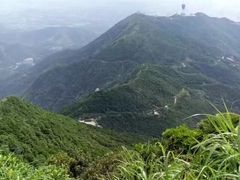 -梧桐山风景名胜区