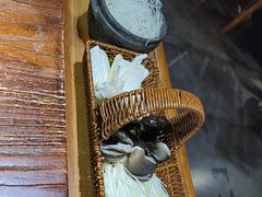 -围炉·云南铜瓢牛肉火锅(桐柏路店)