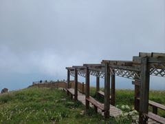 -白草畔自然风景区