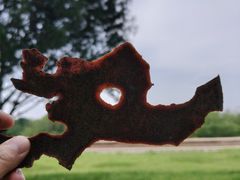 -秦始皇帝陵博物院-丽山园