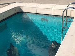 -金泽21世纪美术馆