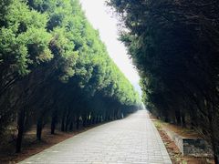 -秦始皇帝陵博物院-丽山园