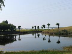 -漕湖湿地公园