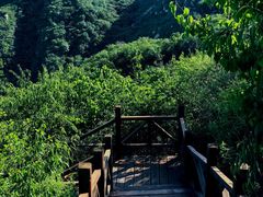-大岭沟猕猴桃谷风景区