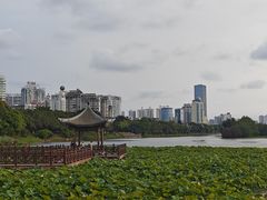 -南宁红林大酒店