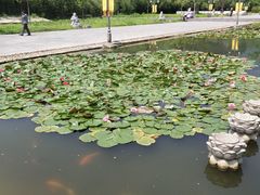 -信阳灵山风景区