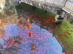 -红螺寺