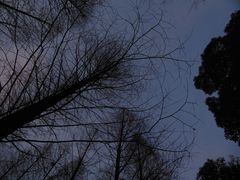 -白鹭园
