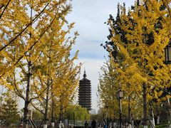 -西海子公园
