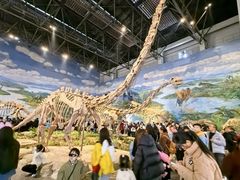 -自贡恐龙博物馆