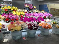 -盒马X会员店(王府井奥莱UP TOWN店)