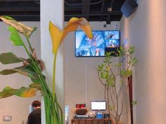 -漆黑觉米粉(三里屯店)