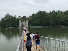 -东湖落雁景区