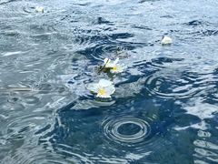 -丽江泸沽湖景区